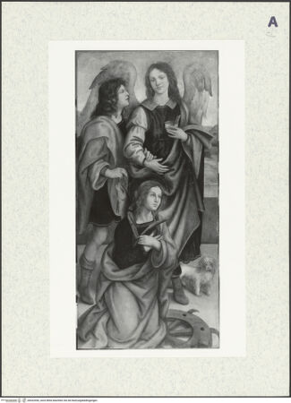 Vorderseite von bh432450_recto