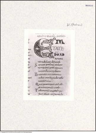 Vorderseite von bh432535_recto