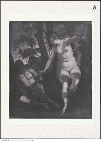 Vorderseite von bh432549_recto