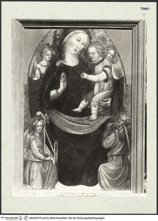 Vorderseite von bh432579_recto