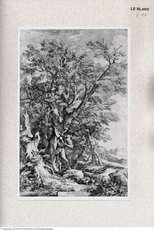 Vorderseite von Umberto Tomba Verona [http://creativecommons.org/publicdomain/mark/1.0/] Oedipus - , bh432914. Foto.