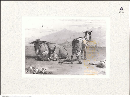 Vorderseite von bh432989_recto