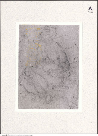 Vorderseite von bh433038_recto