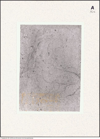 Vorderseite von bh433039_recto