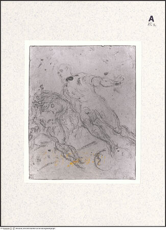 Vorderseite von bh433040_recto