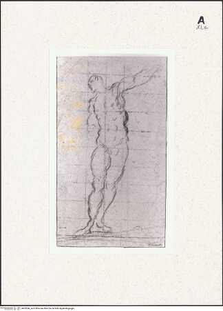 Vorderseite von bh433046_recto