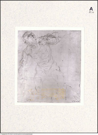 Vorderseite von bh433047_recto