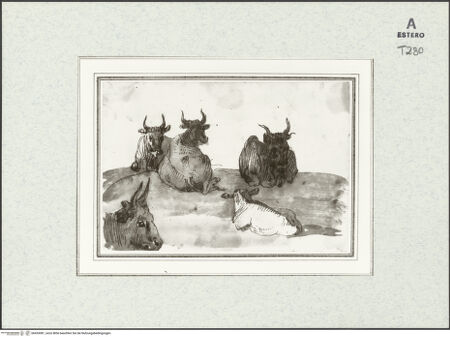 Vorderseite von bh433081_recto