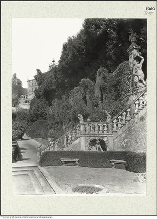 Vorderseite von bh433240_recto