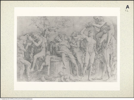 Vorderseite von bh433590_recto