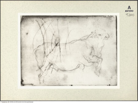 Vorderseite von bh433666_recto