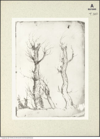 Vorderseite von bh433668_recto