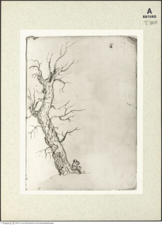 Vorderseite von bh433714_recto