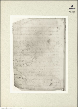 Vorderseite von bh433731_recto