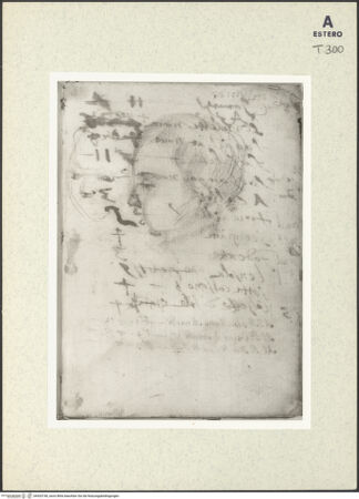 Vorderseite von bh433740_recto