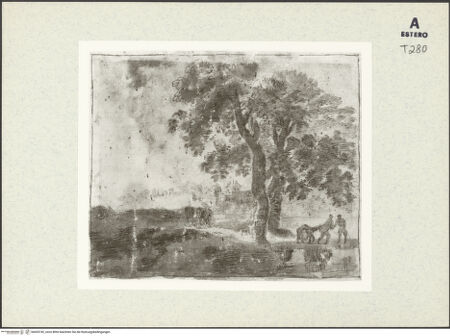 Vorderseite von bh433742_recto