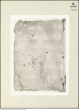 Vorderseite von bh433765_recto