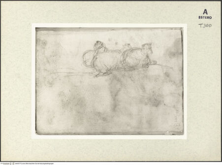 Vorderseite von bh433774_recto