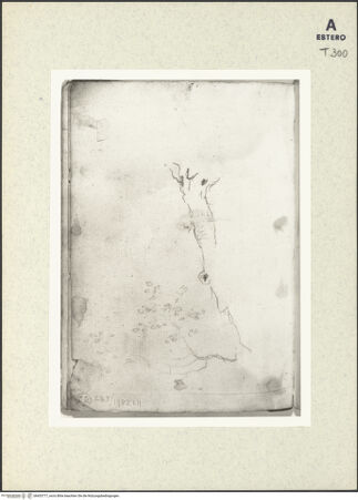 Vorderseite von bh433777_recto