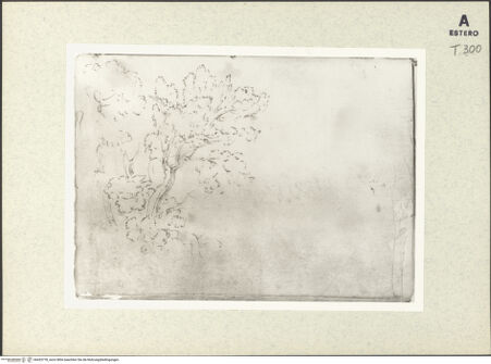 Vorderseite von bh433778_recto