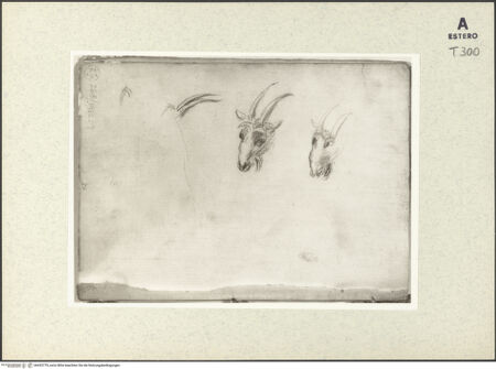 Vorderseite von bh433779_recto