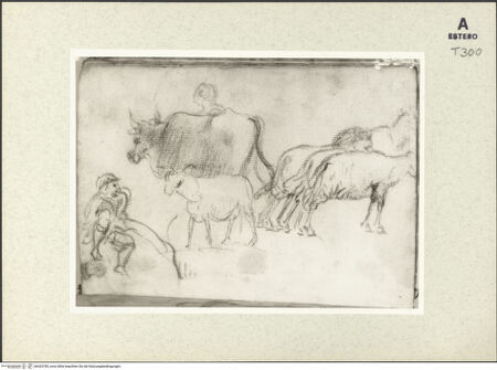 Vorderseite von bh433785_recto