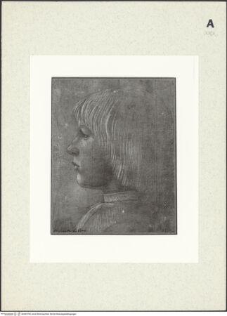 Vorderseite von bh433795_recto