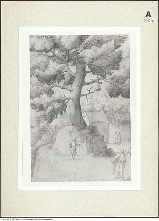 Vorderseite von bh433811_recto