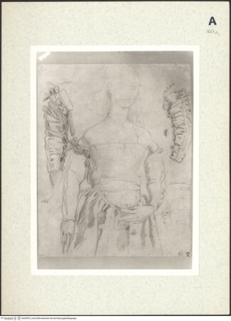 Vorderseite von bh433815_recto