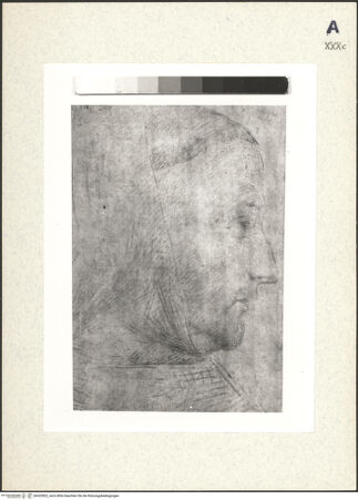 Vorderseite von bh433832_recto