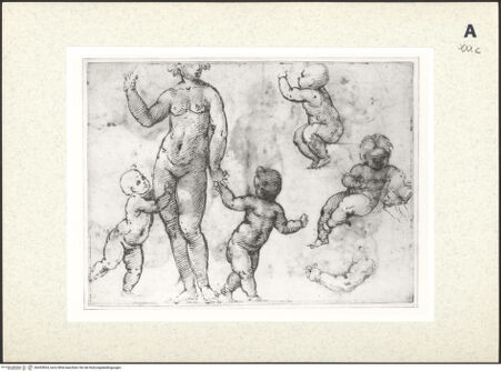 Vorderseite von bh433834_recto