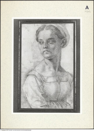 Vorderseite von bh433837_recto