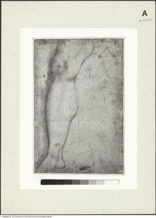 Vorderseite von bh433850_recto