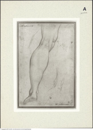 Vorderseite von bh433851_recto