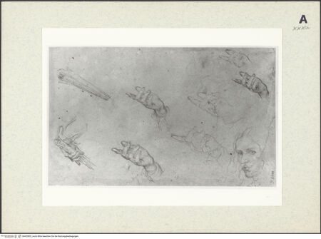 Vorderseite von bh433852_recto