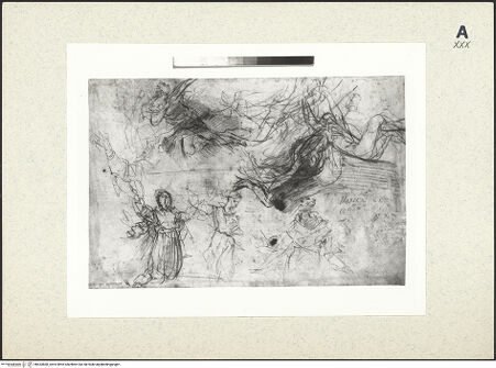 Vorderseite von bh433860_recto