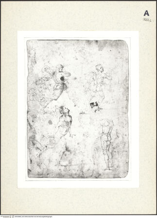 Vorderseite von bh433888_recto