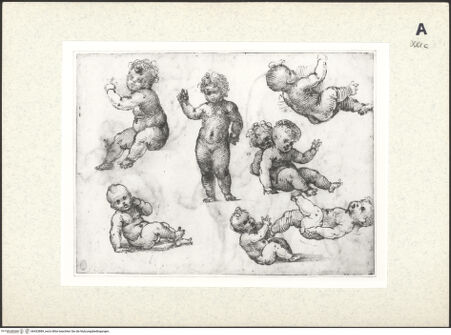 Vorderseite von bh433889_recto