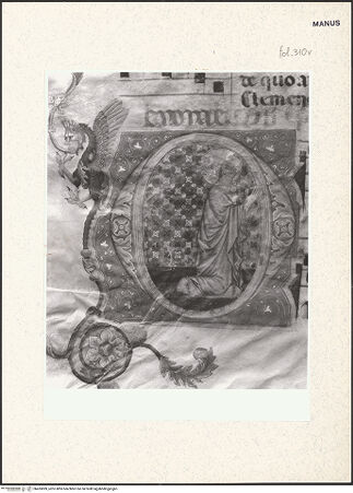 Vorderseite von bh433899_recto