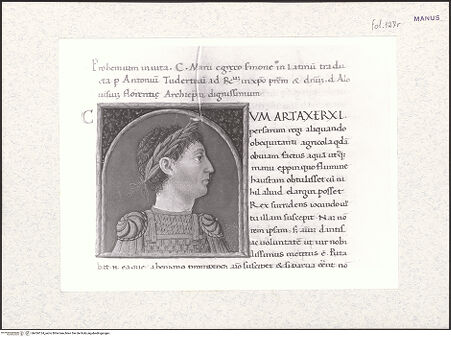 Vorderseite von bh434124_recto