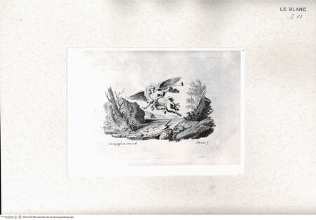 Vorderseite von bh434198