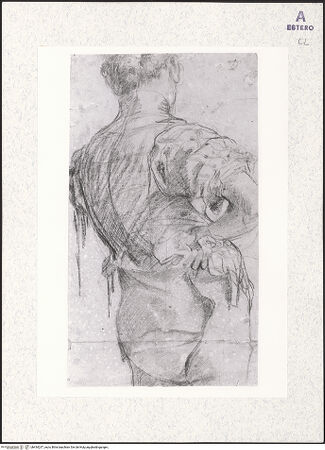 Vorderseite von bh434237_recto