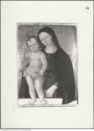 Vorderseite von bh434286_recto