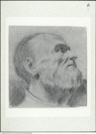 Vorderseite von bh434315_recto