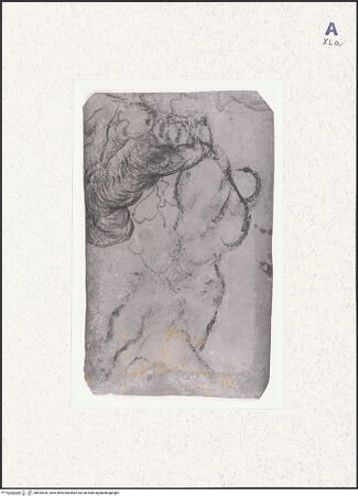 Vorderseite von bh434326_recto