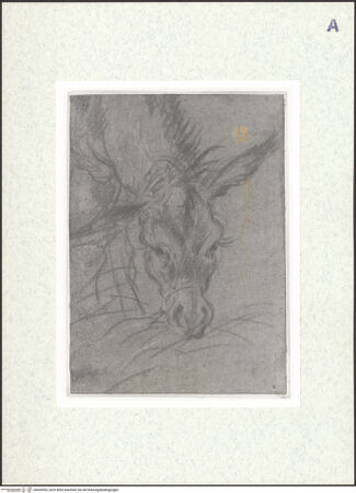 Vorderseite von bh434350_recto