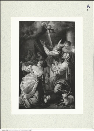 Vorderseite von bh434475_recto