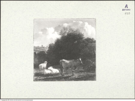 Vorderseite von bh434526_recto