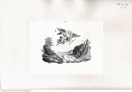 Vorderseite von bh434557