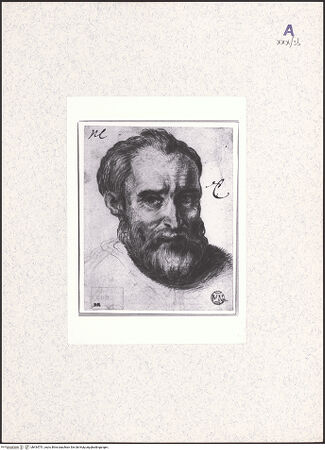 Vorderseite von bh434751_recto